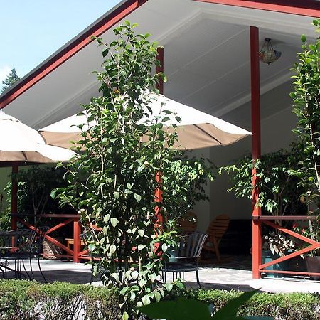 Cielito Sur Bed & Breakfast Inn Cerro Punta Ngoại thất bức ảnh