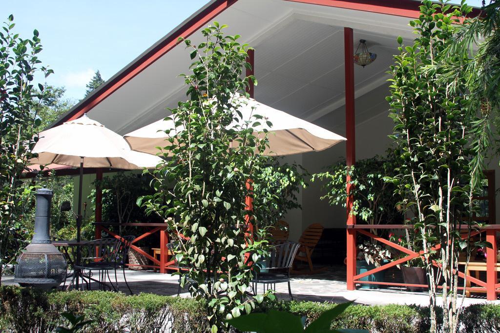 Cielito Sur Bed & Breakfast Inn Cerro Punta Ngoại thất bức ảnh